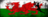 WALES (DRAGONS)